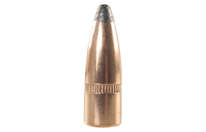  Winchester projectile 223Rem 55gr PSP
