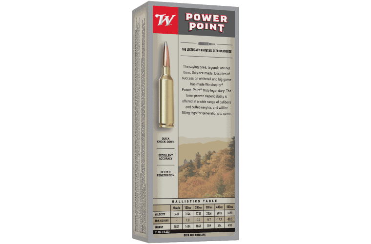 Winchester Winchester Power Point 223WSSM 64gr PP