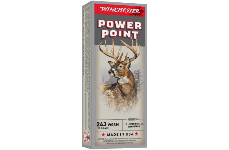 Winchester Power Point 243WSSM 100gr PP