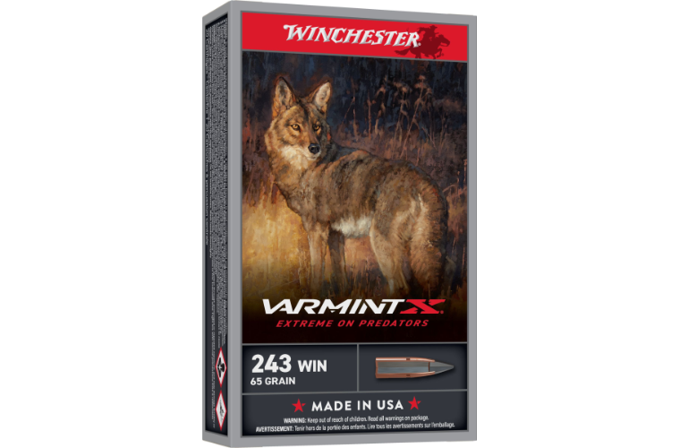 Winchester Varmint X 243Win 65gr PT