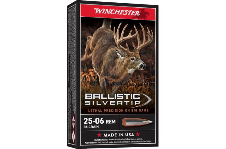 Winchester Ballistic ST 25-06Rem 85gr PT