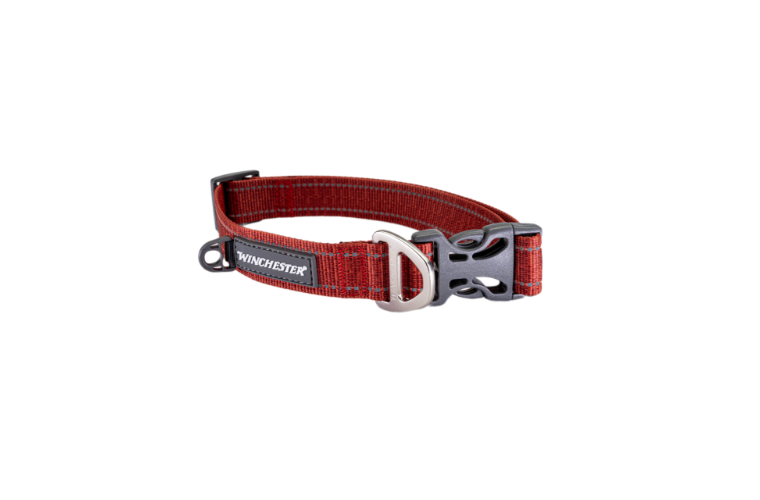 Winchester Ombre Dog Collar Ketchup Medium