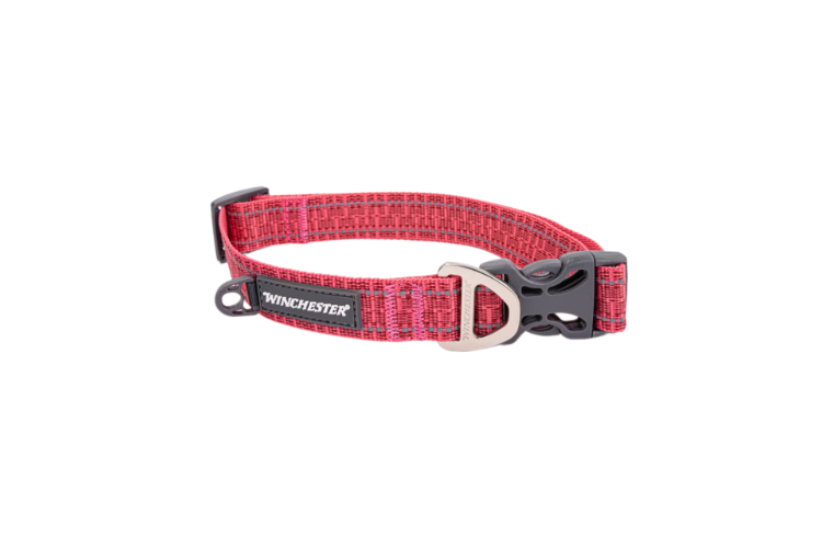 Winchester Ombre Dog Collar Desert Rose Medium