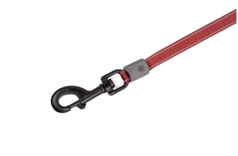 Winchester Retractable Dog Leash Red Small