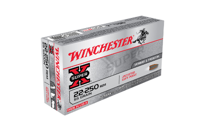  Winchester Power Point 22-250Rem 55gr PSP