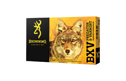  Browning BXV 243win 65gr VE