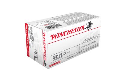  Winchester USA value pack 22-250Rem 45gr JHP